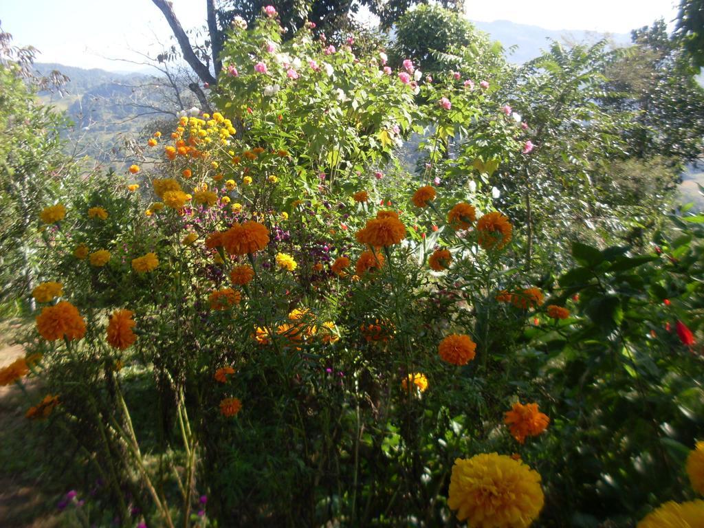 Dinesh House Bed & Breakfast Pokhara Exterior photo
